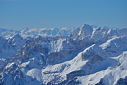 自然,冬季风景,树,初雪