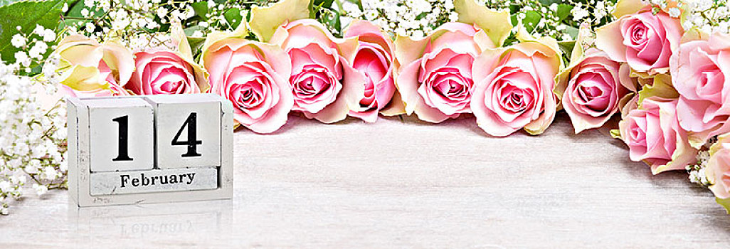 情人节,粉色,玫瑰,丝石竹属植物