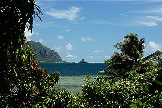 夏威夷,瓦胡岛,向风,斗笠岛,风景,后视图,热带,植被,平静,蓝色,海洋,蓝天