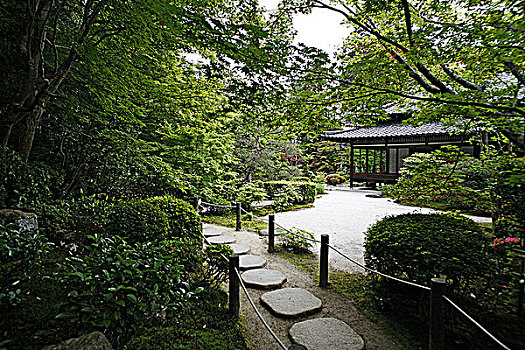 日本,京都,花园,庙宇