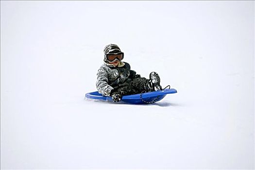 男孩,坐,雪撬,雪橇运动