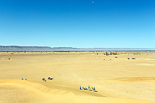 摩洛哥,德拉河谷,沙漠,风景,沙丘