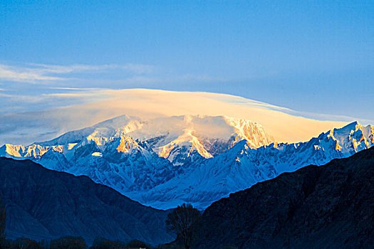 新疆,雪山,晚霞,金山