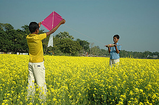 放风筝,孟加拉,一月,2008年