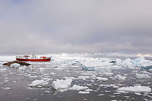 南极,船,港口,格拉克海峡,南极半岛
