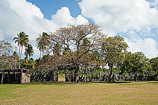 新加勒多尼亚,部落,传统,小屋