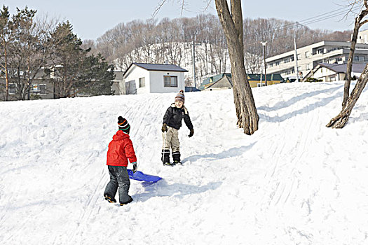 孩子,雪橇运动