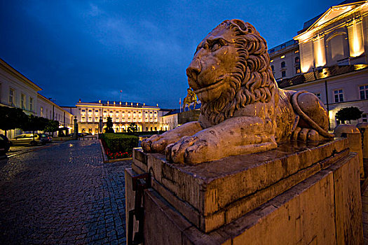 欧洲,波兰,华沙,狮子,雕塑,户外,政府建筑,画廊