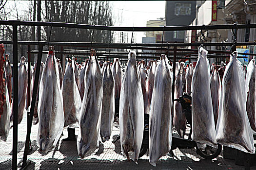 内蒙古巴彦淖尔春节羊肉市场