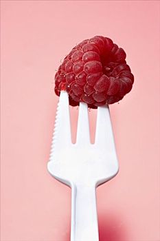 树莓,塑料制品,叉子