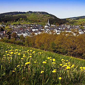 风景,城镇,春天,教堂,藻厄兰,北莱茵威斯特伐利亚,德国,欧洲
