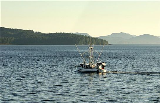 渔船,不列颠哥伦比亚省,加拿大,北美