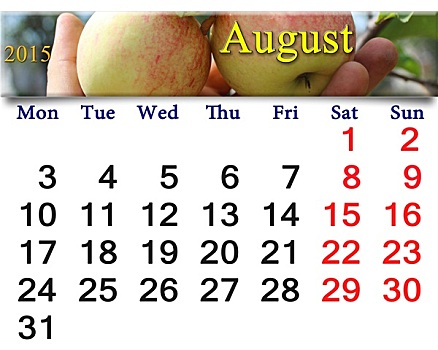 日程,八月,成熟,苹果