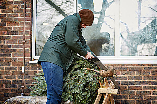 一个,男人,结束,传统,松树,圣诞树,锯