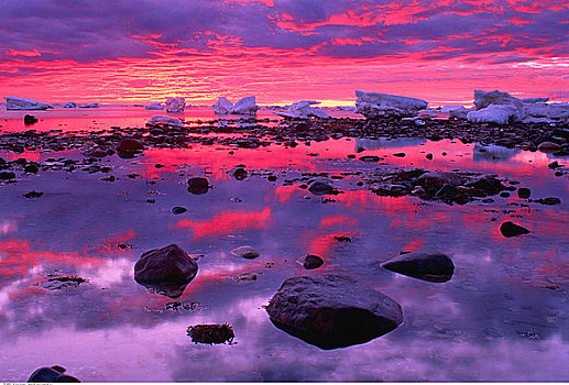 岩石,岸边,日落,哈得逊湾,丘吉尔市,曼尼托巴,加拿大