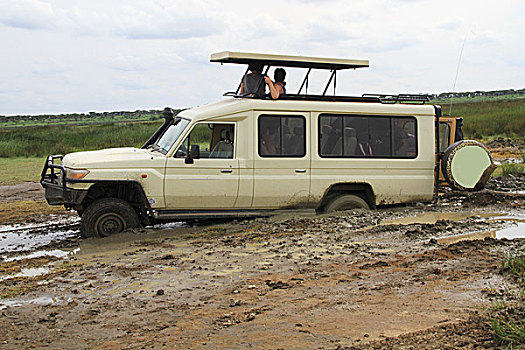 旅游,交通工具,困住,泥,塞伦盖蒂,坦桑尼亚,非洲