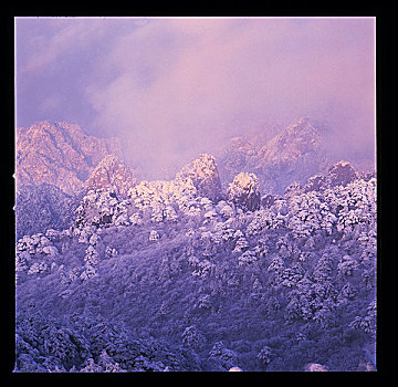 安徽,黄山,雪景,雾淞,云海,寒冷,冬季,阳光