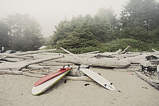 冲浪板,模糊,海滩,温哥华岛,加拿大