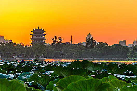 大明湖日出