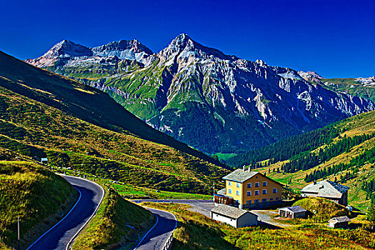 风景,房子,前景