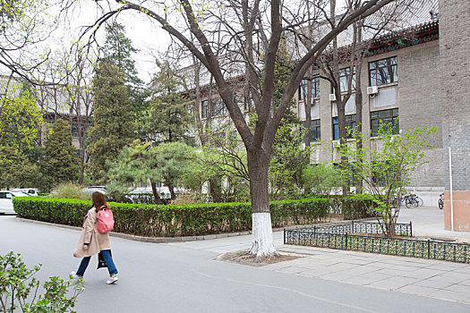 北京大学春天的景色未名湖