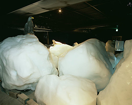 浮冰,博物馆