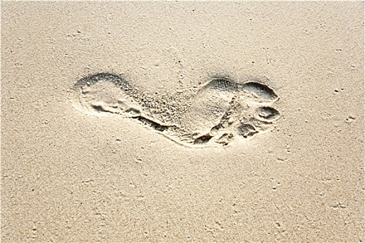 人,成年,脚印,沙子,海滩