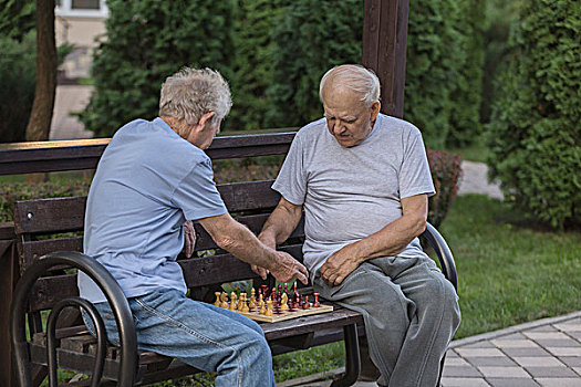 老人,朋友,玩,下棋,坐,公园长椅,树