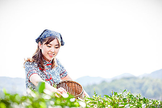 亚洲人,漂亮,女孩,种植园