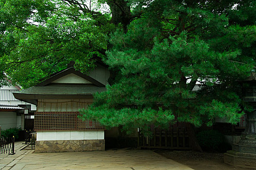 日本东京,上野东照宫,一旁的纪念品木屋也是历史建筑