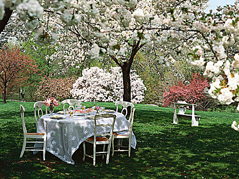 桌子,花,树