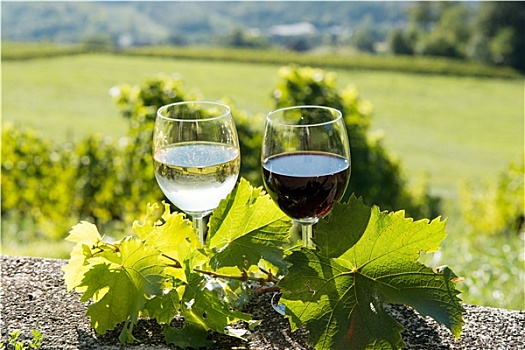 玻璃杯,红色,白色,葡萄酒,葡萄园,背景