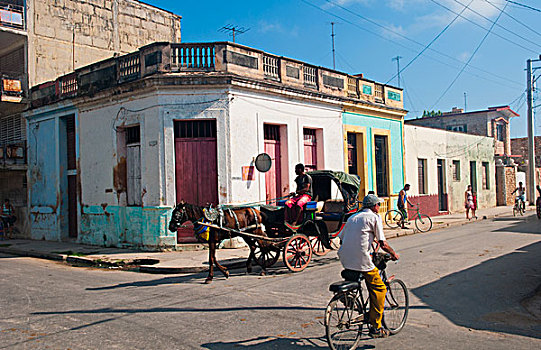 古巴,马拉,马车,市区,交通