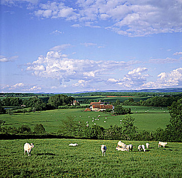 法国,勃艮第,风景