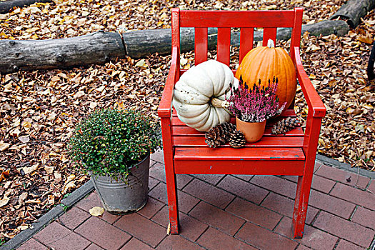 秋天,装饰,南瓜,松树,松果,植物,红色,椅子,花园