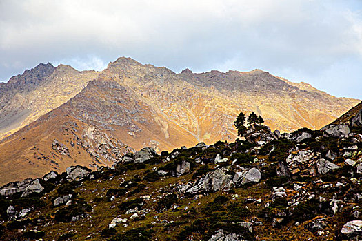 山景