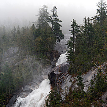 瀑布,树林,省立公园,不列颠哥伦比亚省,加拿大