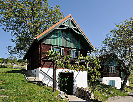 房子,布尔根兰,奥地利,欧洲