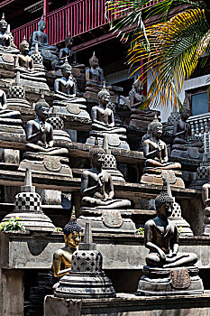 坐佛,雕塑,庙宇,科伦坡,斯里兰卡
