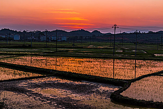 夕阳下的田野