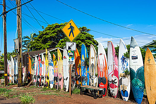 冲浪板,栅栏,毛伊岛,夏威夷