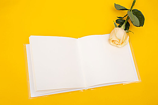 黄色背景,一本画册和一支黄色玫瑰花