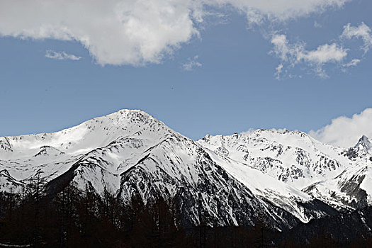 白马雪山