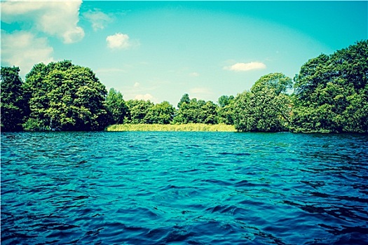 湖,深海,绿色,树