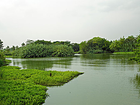 杭州西溪湿地