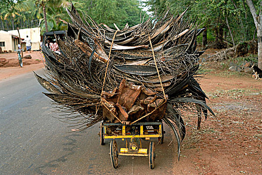 手推车,装载,木柴,椰子,叶子,茎,泰米尔纳德邦,印度,亚洲