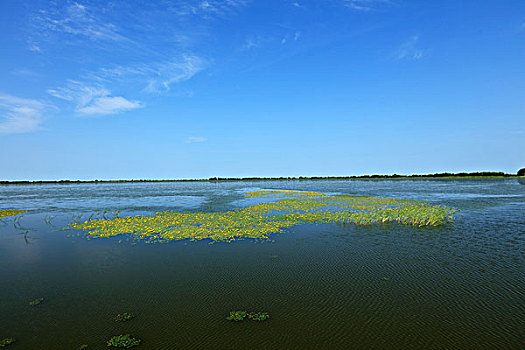 千鸟湖湿地