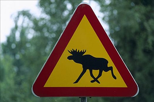 麋鹿,标识,挪威,斯堪的纳维亚