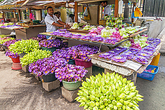 花,售出,供品,正面,寺庙,牙齿,古物,康提,斯里兰卡