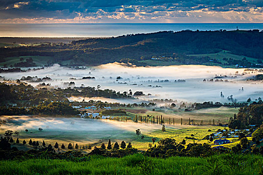 清晨的薄雾,在,农,国家,附近的,浆果,新南威尔士,澳大利亚
